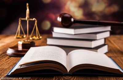 法律主体元素高清解析