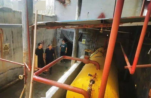 淄博2名安全专家因违规开展业务被严惩，罚款9000元并申请吊销执业资格